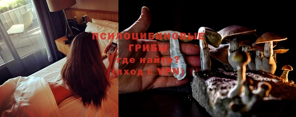синтетический гашиш Горнозаводск