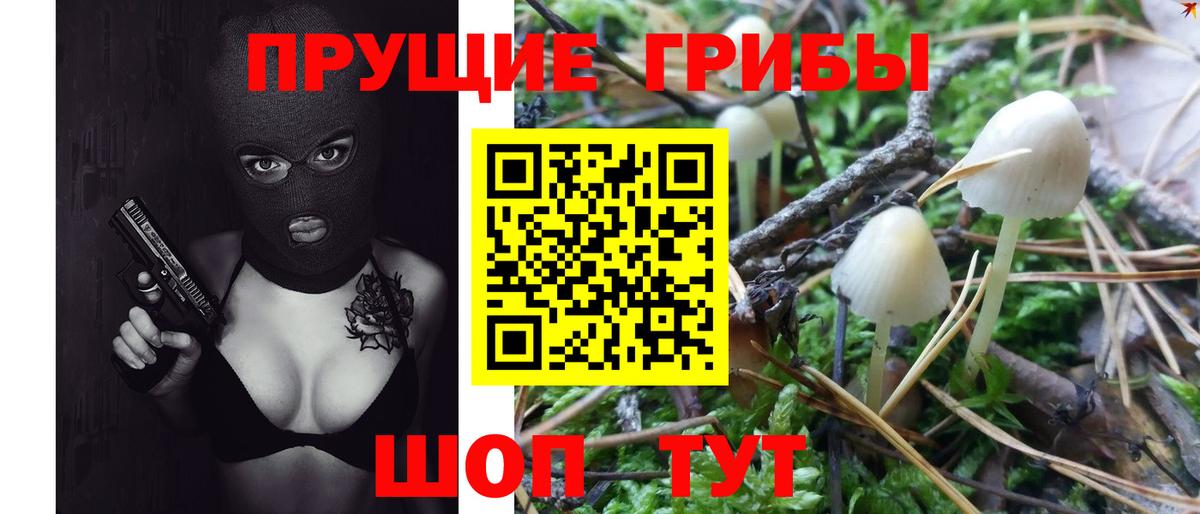 Псилоцибиновые грибы GOLDEN TEACHER Усолье-Сибирское