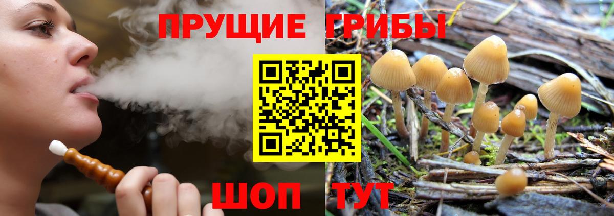 Псилоцибиновые грибы MAGIC MUSHROOMS  Вход с VPN  Усолье-Сибирское 